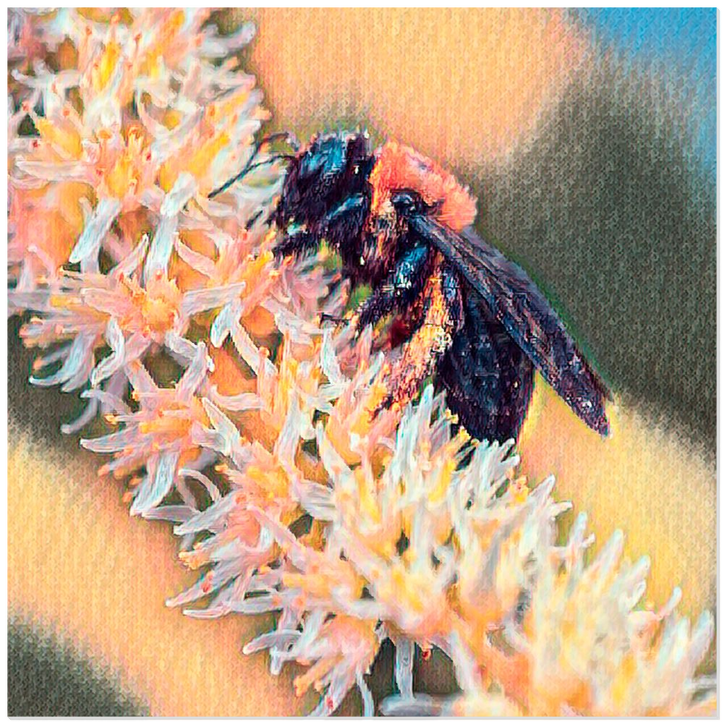Muted Bee - Acrylic Print 12x12 inch Posters, Prints, & Visual Artwork Acrylic Prints Original Art