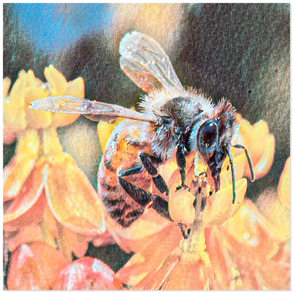 Watercolor Bee Sipping - Acrylic Print 12x12 inch Posters, Prints, & Visual Artwork Original Art