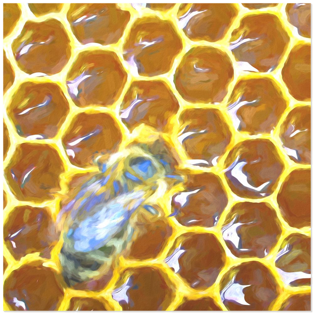 Bee on Honeycomb Acrylic Print 12x12 inch Acrylic Prints Original Art