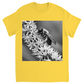 B&W Bee Unisex Adult T-Shirt Daisy Shirts & Tops apparel